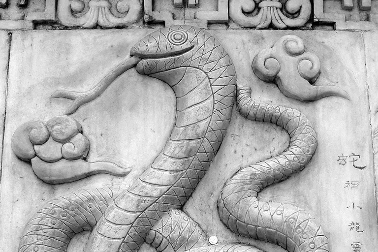 Čínské znamení Had